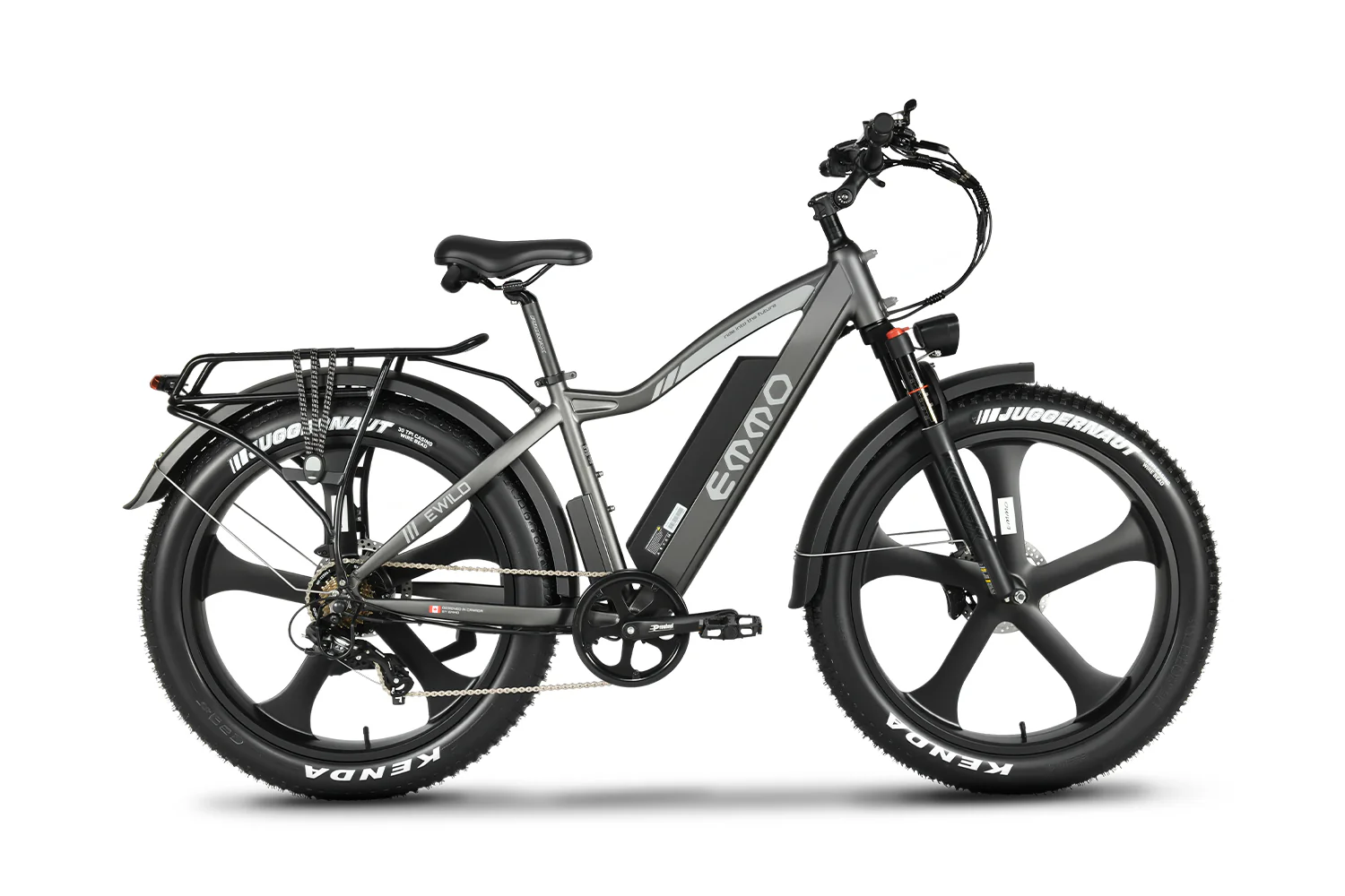 E-Wild Pro Ebike - Image 3