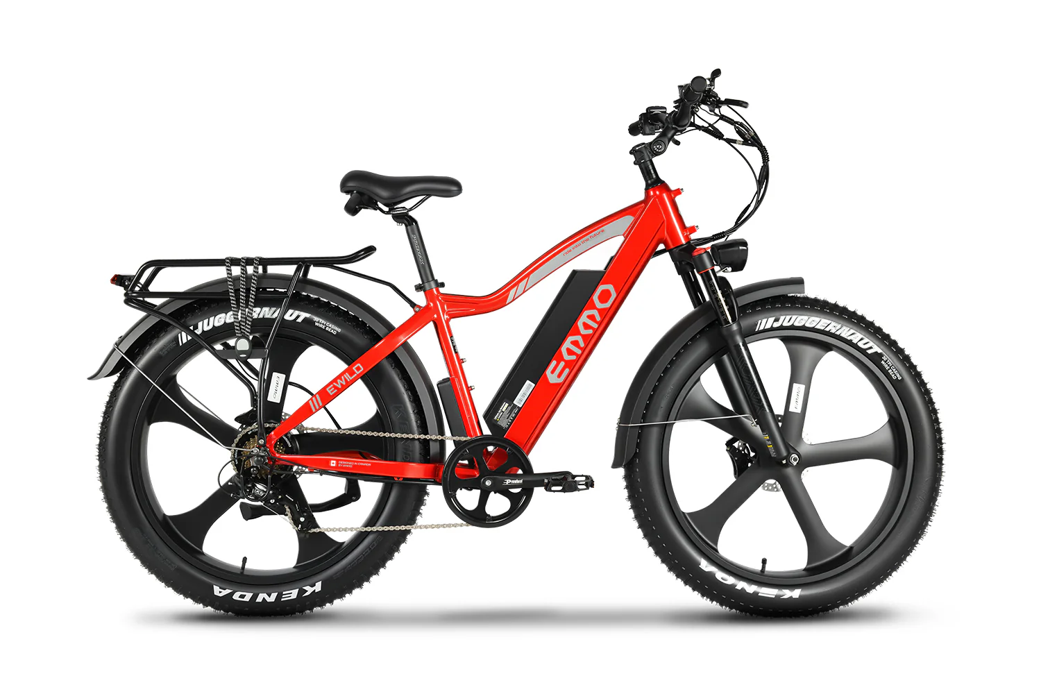 E-Wild Pro Ebike - Image 5