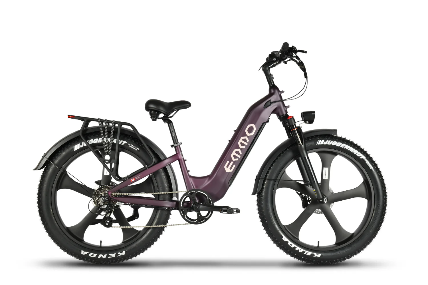 Vegar Pro Ebike - Image 3